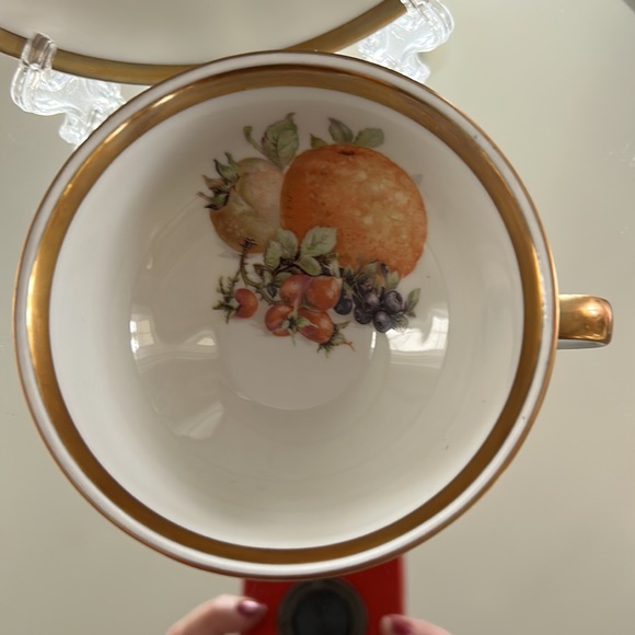 Bavarian Golden Crown (Orchard) Teacup and Saucer - Picture 4 of 5